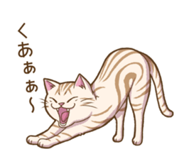Cat "Poohchan" sticker #14153889