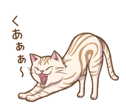 Cat "Poohchan" sticker #14153889