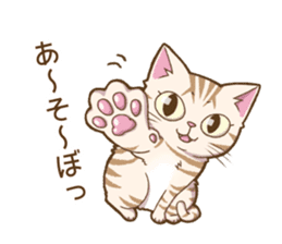 Cat "Poohchan" sticker #14153891