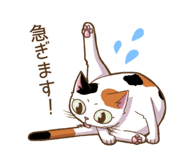 Cat "Poohchan" sticker #14153893