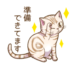 Cat "Poohchan" sticker #14153894