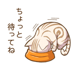 Cat "Poohchan" sticker #14153895