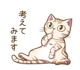 Cat "Poohchan" sticker #14153897