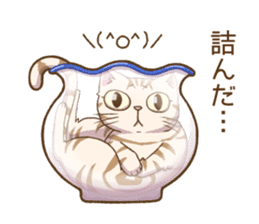 Cat "Poohchan" sticker #14153899