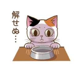 Cat "Poohchan" sticker #14153903