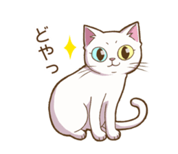 Cat "Poohchan" sticker #14153904