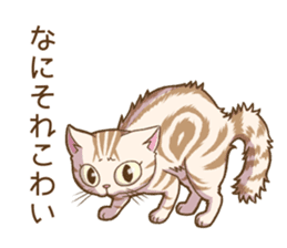 Cat "Poohchan" sticker #14153905