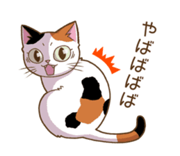Cat "Poohchan" sticker #14153906