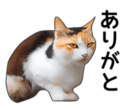 Various calico cats. sticker #14154156