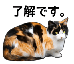 Various calico cats. sticker #14154160