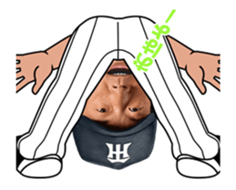 Hanshin Tigers 3 sticker #14154250