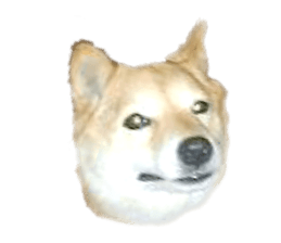 Cute Shiba dog sticker #14156793