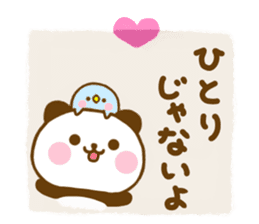 Panda Kota friendly sticker #14157284