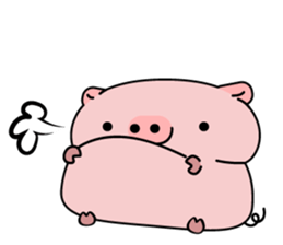Newton - Soft Piglet - sticker #14157789