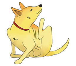 Loyal Yellow sticker #14158176