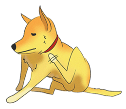 Loyal Yellow sticker #14158189