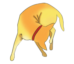 Loyal Yellow sticker #14158190