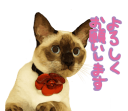 This is hana sticker #14158362