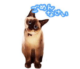 This is hana sticker #14158364