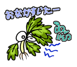 eat pakchee thai sticker #14159038