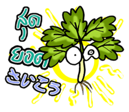 eat pakchee thai sticker #14159039