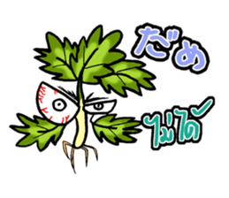 eat pakchee thai sticker #14159042