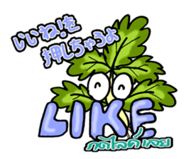 eat pakchee thai sticker #14159045