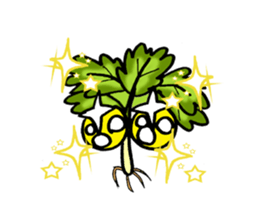 eat pakchee thai sticker #14159050