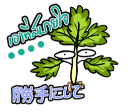 eat pakchee thai sticker #14159051