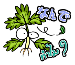 eat pakchee thai sticker #14159052