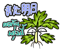 eat pakchee thai sticker #14159053