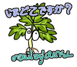 eat pakchee thai sticker #14159054