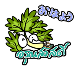 eat pakchee thai sticker #14159056