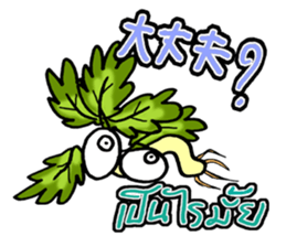 eat pakchee thai sticker #14159059