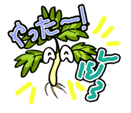 eat pakchee thai sticker #14159060