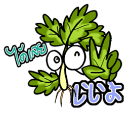 eat pakchee thai sticker #14159064