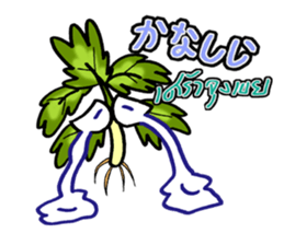 eat pakchee thai sticker #14159071