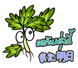 eat pakchee thai sticker #14159072