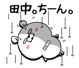 Tanaka dedicated last name sticker #14159931