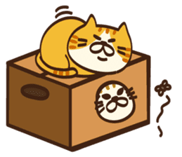 Also in 2017,I want to say Meowing sticker #14160014