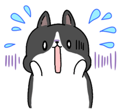 Terry and Kurosuke sticker #14160192