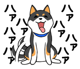 Shiba's Feelings red and black sticker #14161000