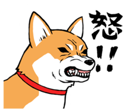 Shiba's Feelings red and black sticker #14161004