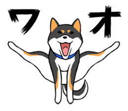 Shiba's Feelings red and black sticker #14161011