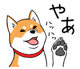 Shiba's Feelings red and black sticker #14161012