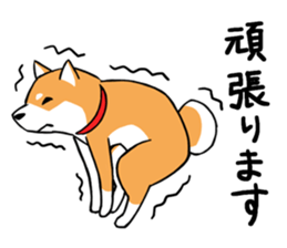 Shiba's Feelings red and black sticker #14161017