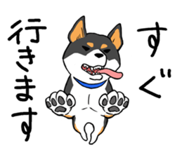 Shiba's Feelings red and black sticker #14161021