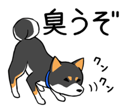 Shiba's Feelings red and black sticker #14161033
