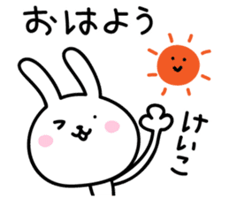 Keiko Rabbit Sticker sticker #14161076