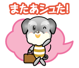 working schnauzer sticker #14161268